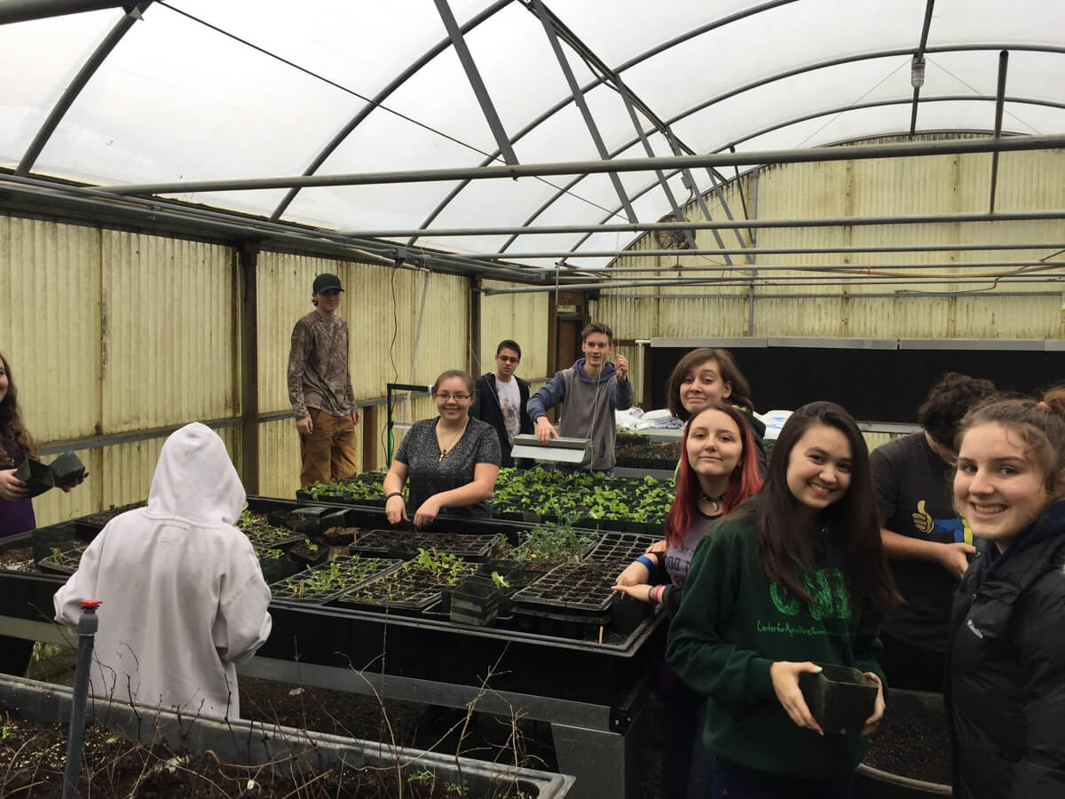 greenhouse group