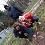 CASEE Juniors weeding their lettuce plot