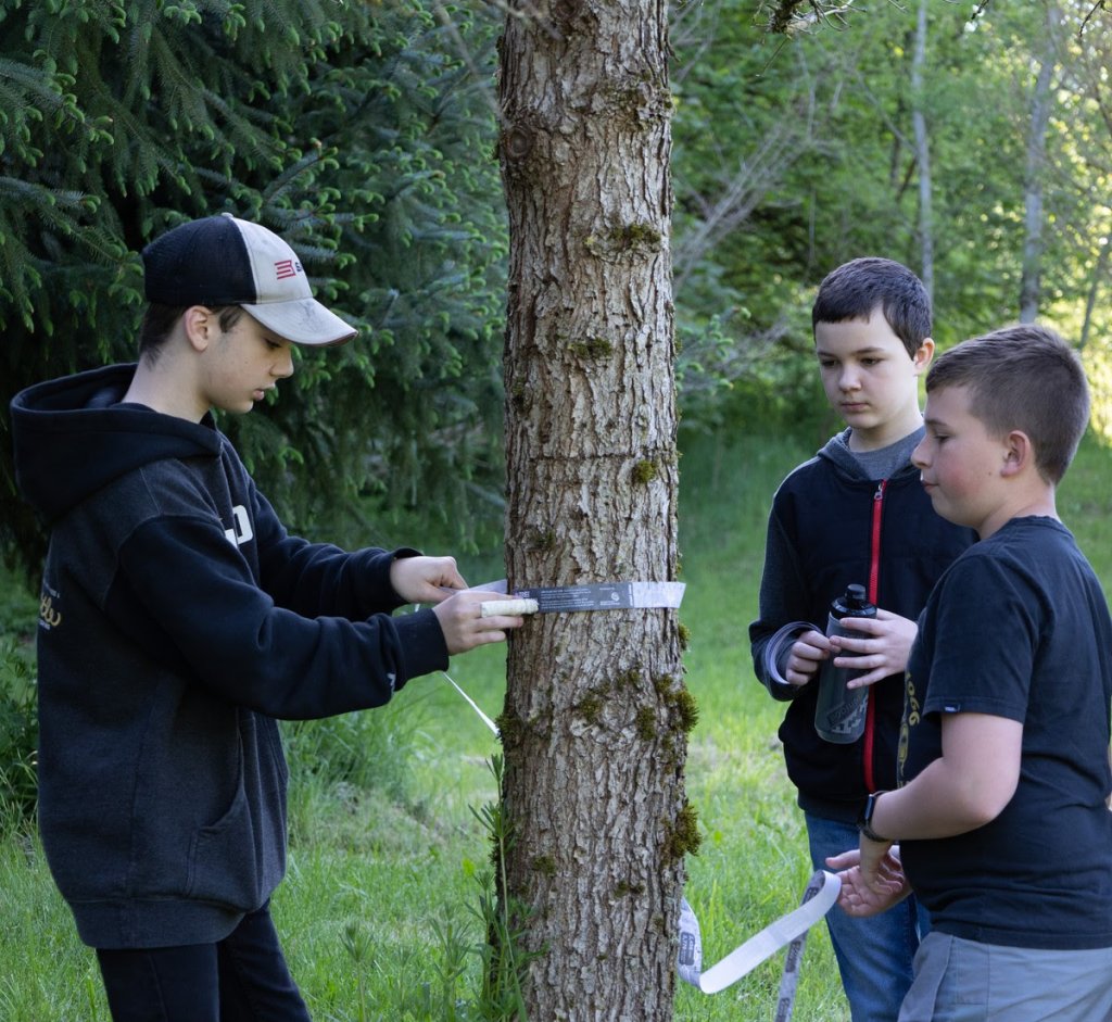 students measuring a small tree