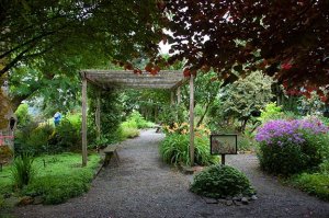 paths with garden landscaping and arbor
