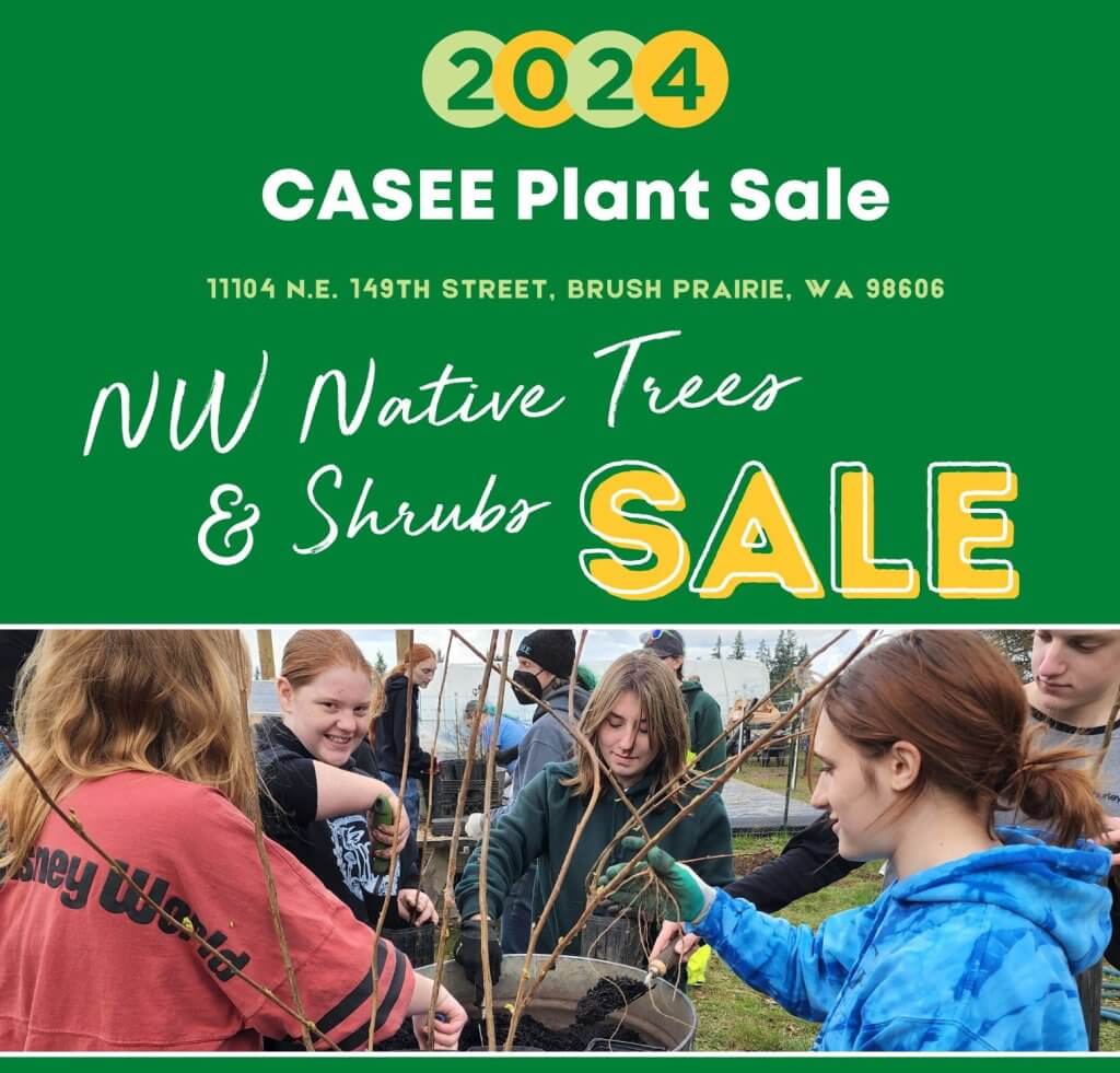 2024 casee PLANT SALE