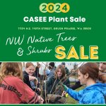 2024 casee PLANT SALE